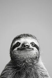 Faultier von Poster Art Shop