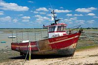 Boot op het droge