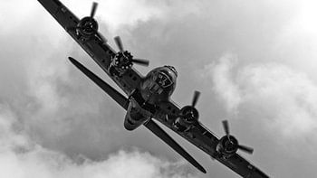 Sally B