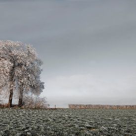 Winterbaum von -Léon -