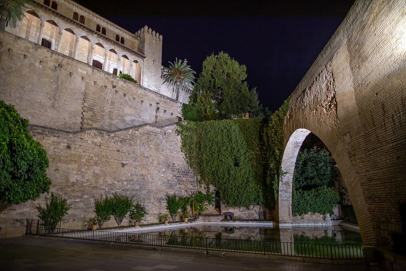 Palma de Mallorca - Llac del Cigne and Arc de sa Drassana by t.ART