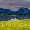 Frühling am Forggensee von Walter G. Allgöwer
