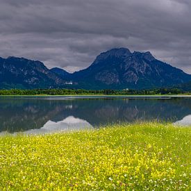 Spring at Lake Forggensee by Walter G. Allgöwer