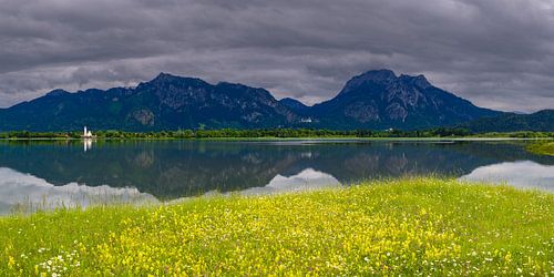 Frühling am Forggensee von Walter G. Allgöwer