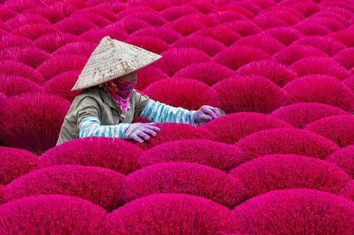 Wierook productie in Quang Phu Cau