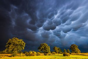 Bol wolken boven het Balloërveld