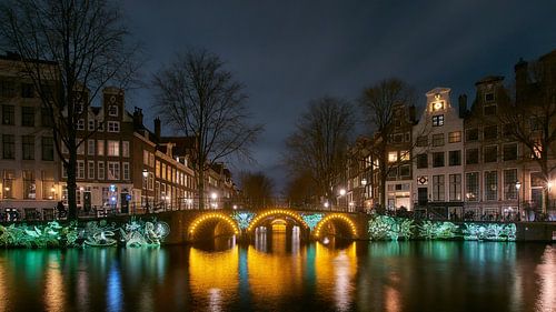 Amsterdam Light Festival; Metamorfaunes, by Luminariste van Ad Jekel