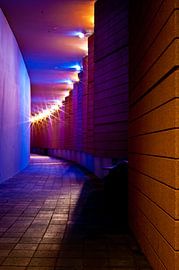 Auf dem Weg zur Messe von Dennis Vorberg