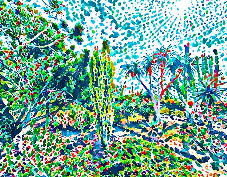 Madeira, Motiv 5 von zam art