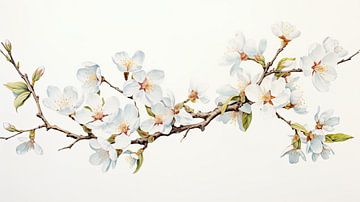 Apple blossom branch against white background by Vlindertuin Art