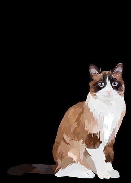 Snowshoe cat in vector by IHSANUDDIN .