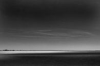 Spotlight landscape in black and white par Peter van Eekelen Aperçu