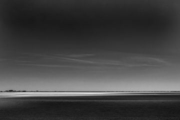 Spotlight landscape in black and white sur Peter van Eekelen