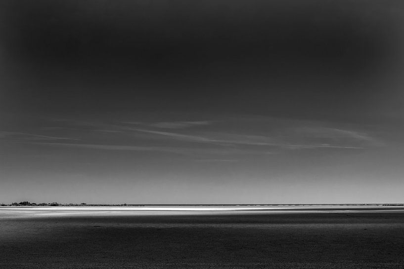 Spotlight landscape in black and white par Peter van Eekelen