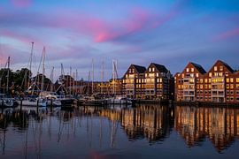 Hornkarpfengrube von Shorty's adventure