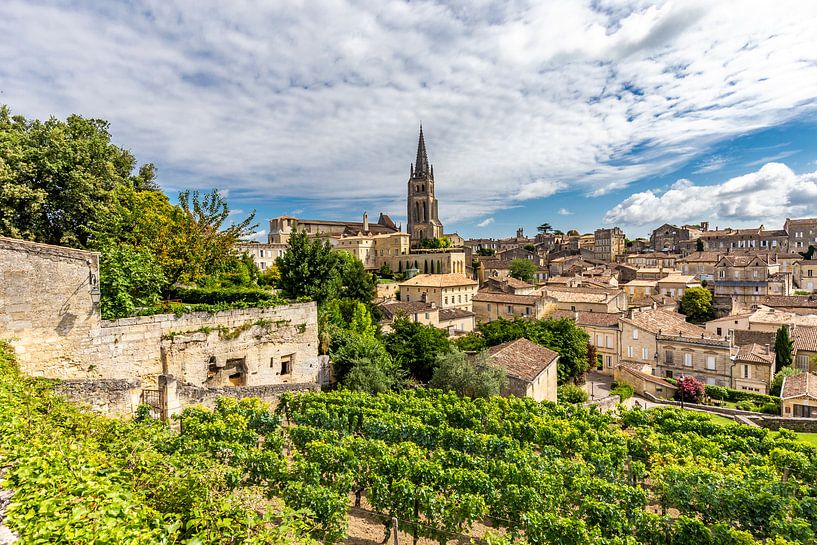 Weinstöcke in Saint-Émilion von Easycopters