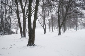 WINTER by Marvin Schweer