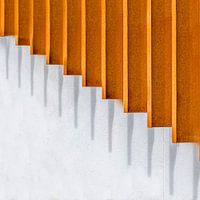 Lines and shadows
