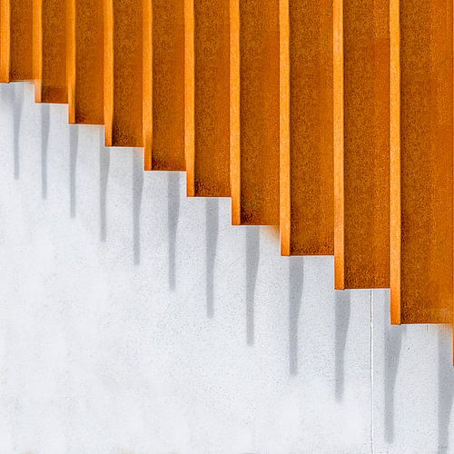 Lijnen en Schaduwen- Lines and Shadows (Awarded)