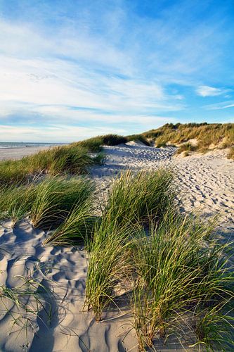 Summery Danish coast in Jutland
