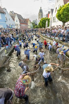 Visdag in Memmingen van Walter G. Allgöwer