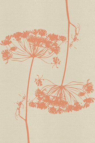 Tekening van dillebloem in koraal op wit