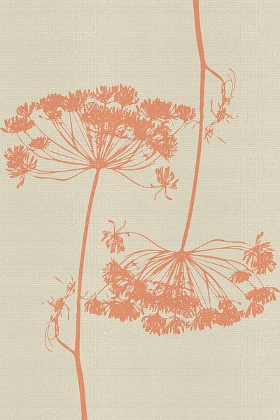 Dill flower drawing in coral on white by Dina Dankers