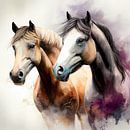 Die Anmut von zwei Pferden von Color Square Miniaturansicht