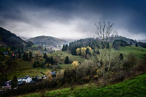 Colline de Gräfentahl en Thuringe - Une nature rustique pour un intérieur élégant sur Elianne van Turennout
