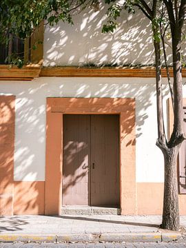 Oaxaca von Raisa Zwart Reisefotografiedrucke