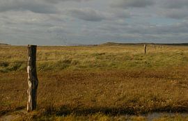 De Slufter by Hugo Kuijper