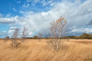 Autumn atmosphere
