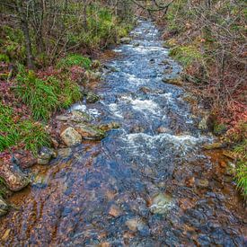 tussen de prachtige groen gekleurde natuur stromend rivier van Nature Life Ambience