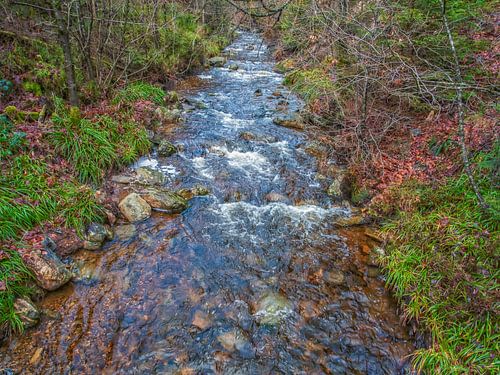 tussen de prachtige groen gekleurde natuur stromend rivier
