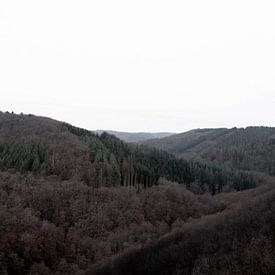 Vereinfachte und einsame Natur von Ivanovic Arndts