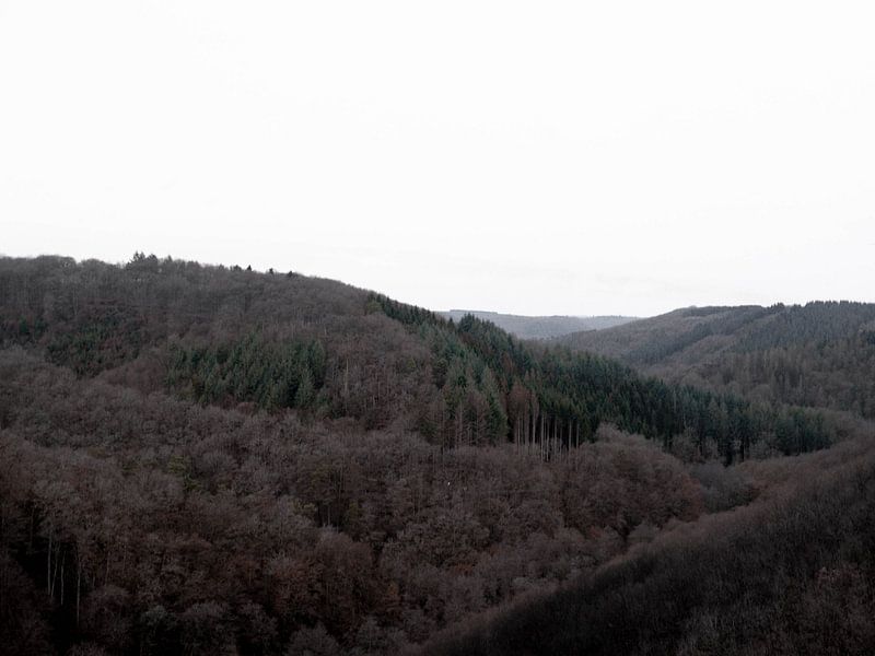 Nature simplistic and lonely by Ivanovic Arndts