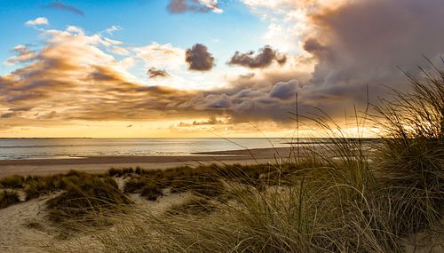 Maasvlakte beach and dunes sunset