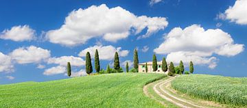 Boerderij met cipressen, Val d'Orcia, Toscane, Italië van Markus Lange