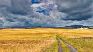 Toskanische Landschaft um Val d'Orcia