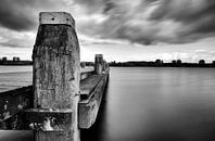 Jetty van Franc Wiedenhoff thumbnail