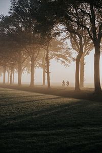 Ochtendroute in de mist van Alieke Eising