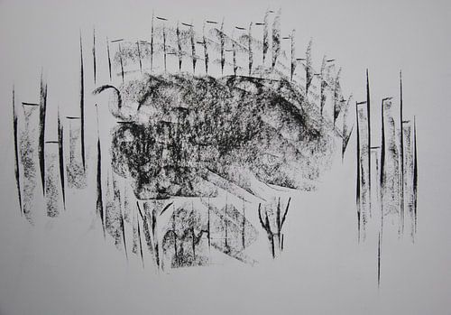 Black sheep in the city