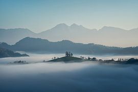 Slovenian delight IV