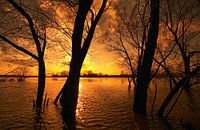 High water