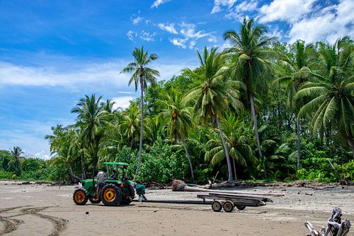 Strand Costa Rica mit den Palmen von Merijn Loch