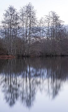 Fishpond - Beilen - Drenthe (Netherlands) by Marcel Kerdijk