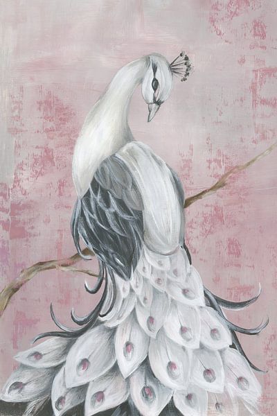Regal Peacock, Eva Watts  by PI Creative Art