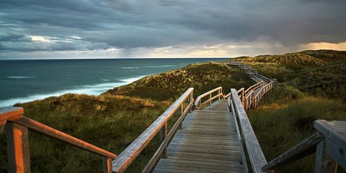 Passerelle à travers les dunes