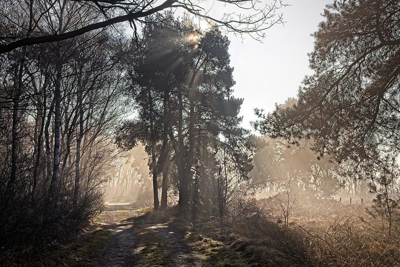 Zonsopgang in Nationaal Park de Groote Peel van Rob Boon