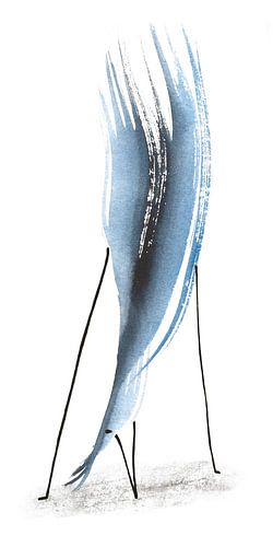 Comportement d'affichage